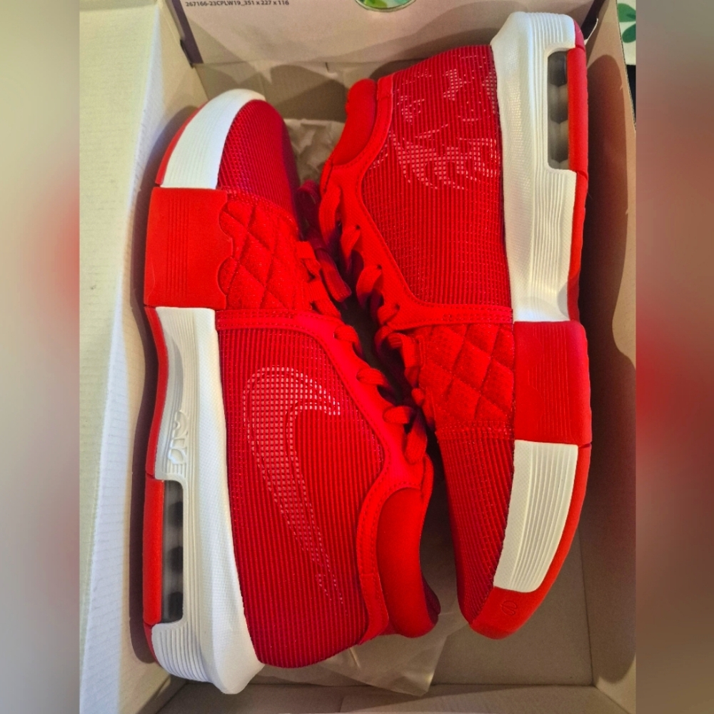 Lebron Witness VIII TB